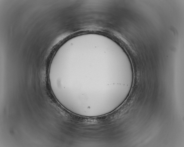 X0000111211315200907221142