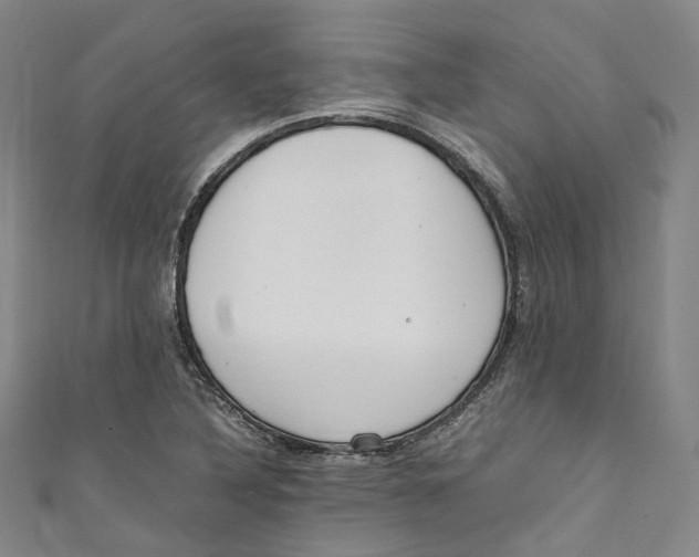 X0000111211316200907221142