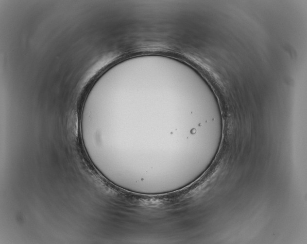 X0000111211317200907221142