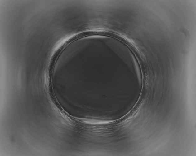 X0000111211319200907221142