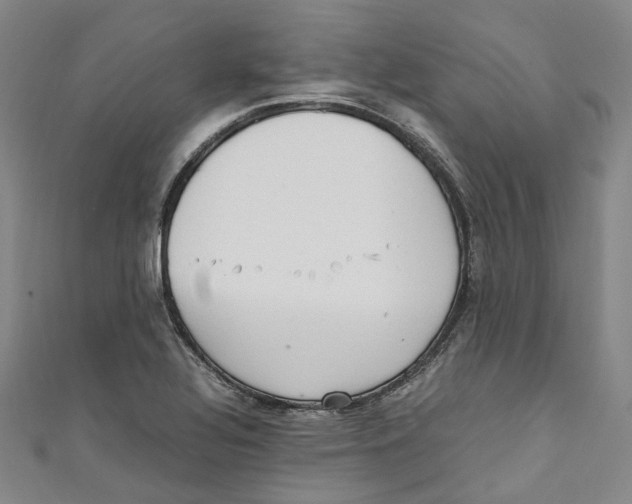 X0000111211320200907221143