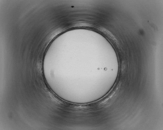 X0000111211321200907221143