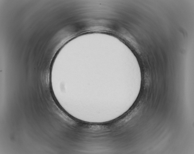 X0000111211322200907221143