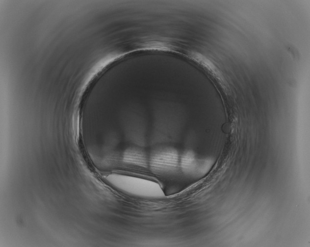 X0000111211323200907221143