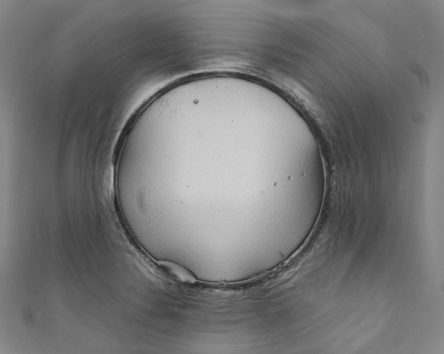 X0000111211324200907221143