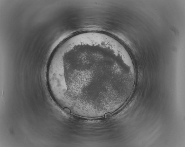 X0000111211325200907221143