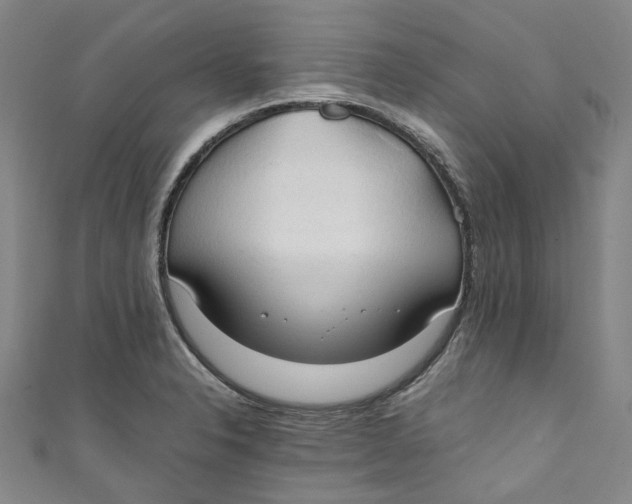 X0000111211326200907221143