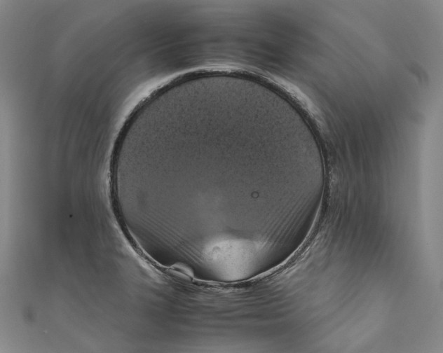 X0000111211327200907221143