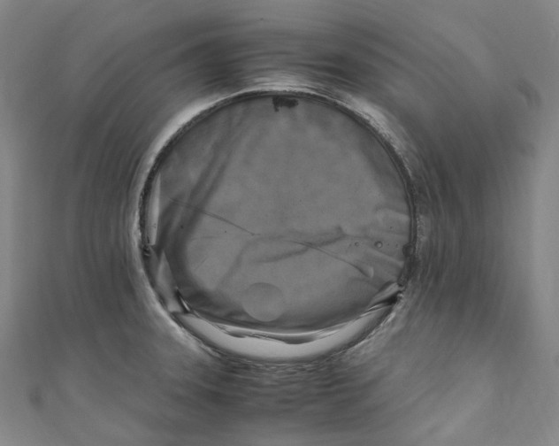 X0000111211331200907221143