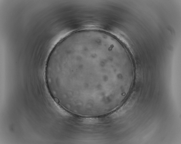 X0000111211333200907221143