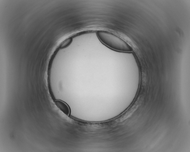 X0000111211334200907221143