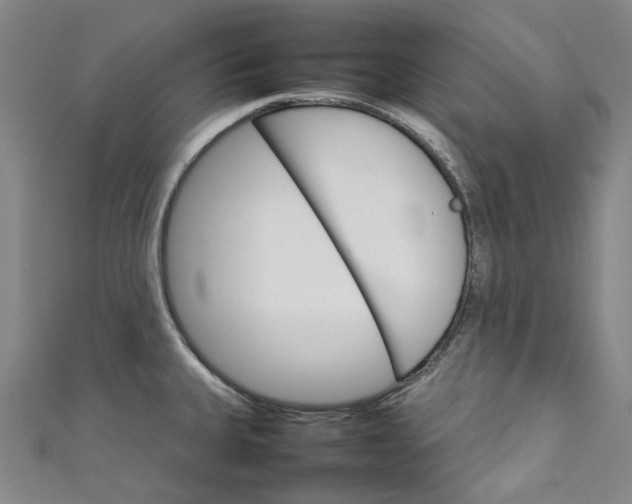 X0000111211335200907221143