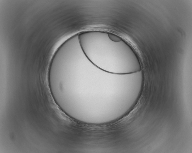 X0000111211336200907221143