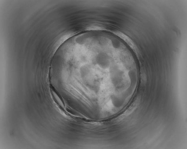 X0000111211337200907221143