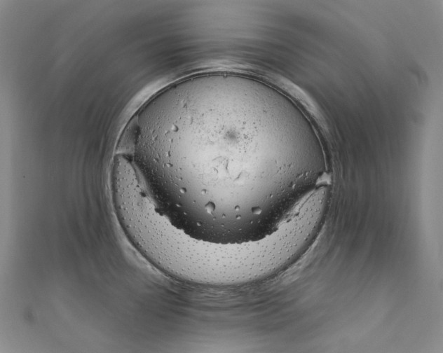 X0000111211338200907221143