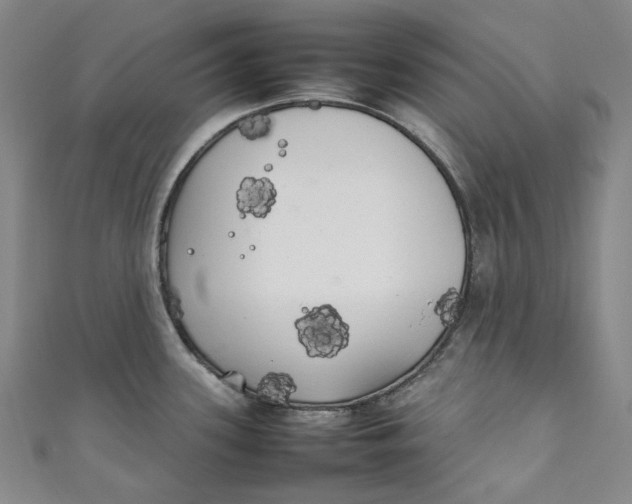 X0000111211339200907221143