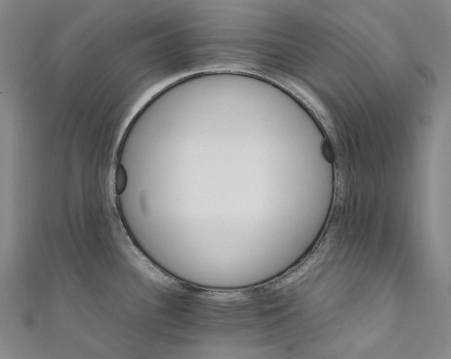 X0000111211340200907221143