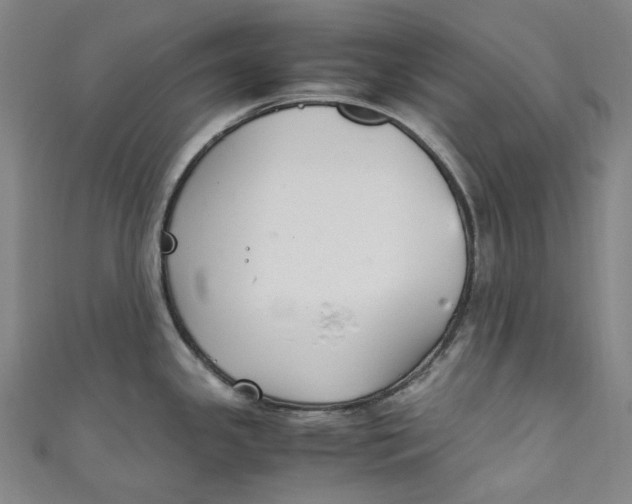 X0000111211341200907221143