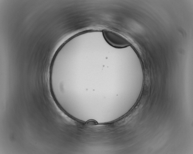 X0000111211343200907221143