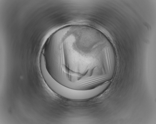 X0000111211344200907221143