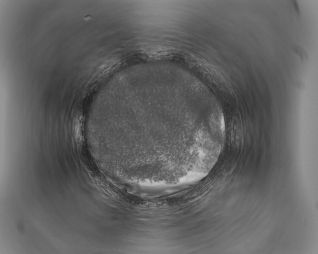 X0000111211346200907221142