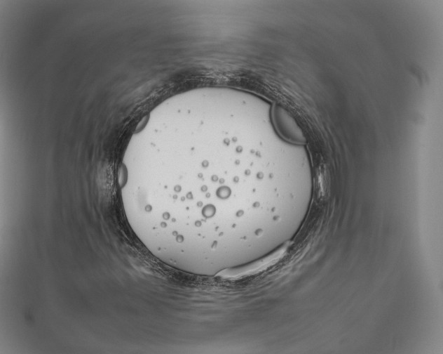 X0000111211347200907221142