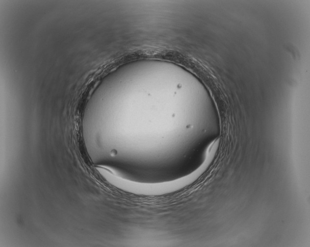 X0000111211349200907221142