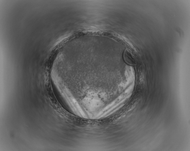 X0000111211350200907221142