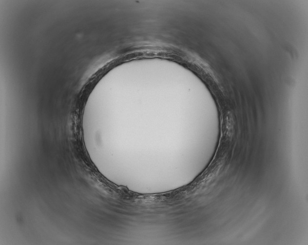 X0000111211352200907221142