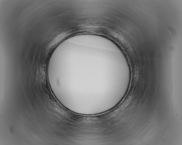 X0000111211354200907221142