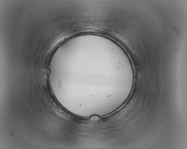 X0000111211355200907221142