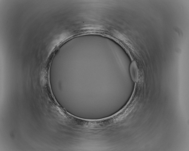 X0000111211357200907221142