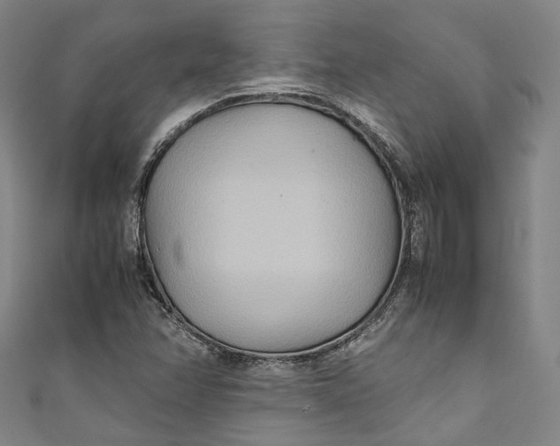 X0000111211358200907221142