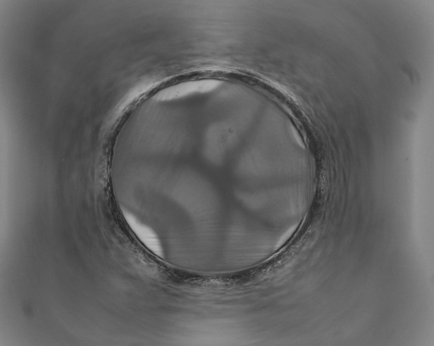 X0000111211359200907221142