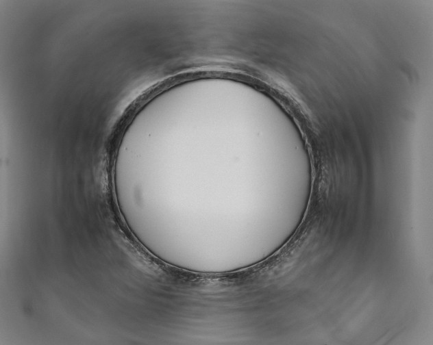 X0000111211360200907221142