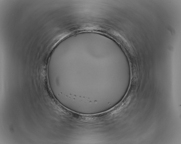 X0000111211361200907221142