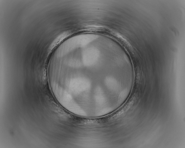 X0000111211362200907221142