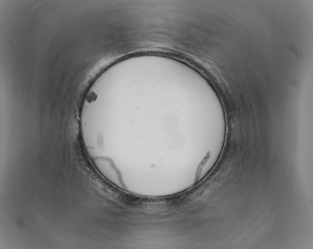 X0000111211363200907221142