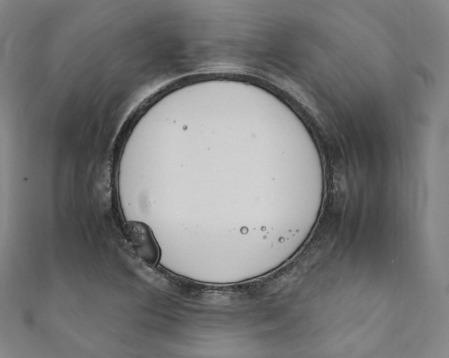 X0000111211364200907221142