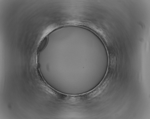 X0000111211365200907221142