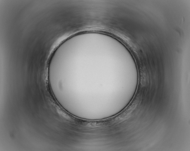 X0000111211366200907221142