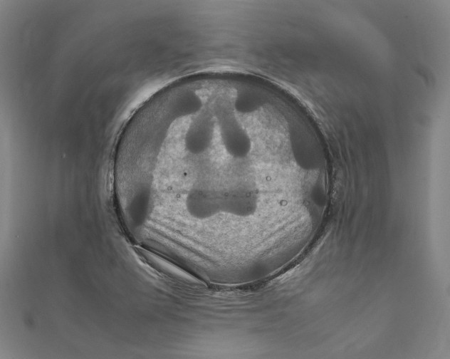 X0000111211367200907221142