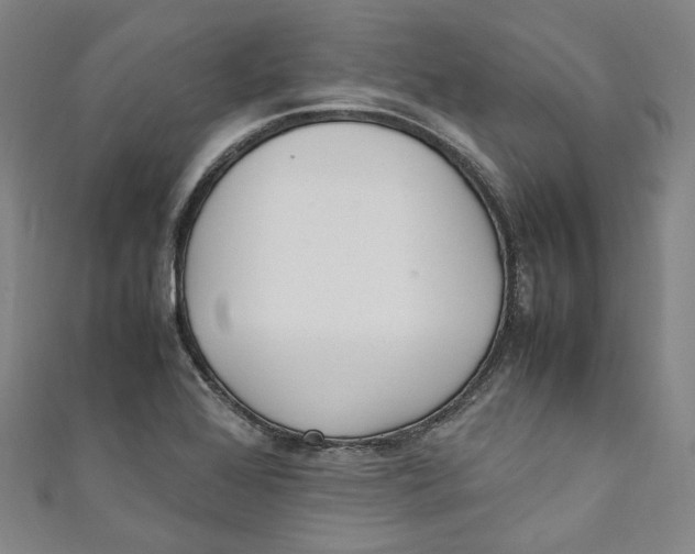 X0000111211368200907221142