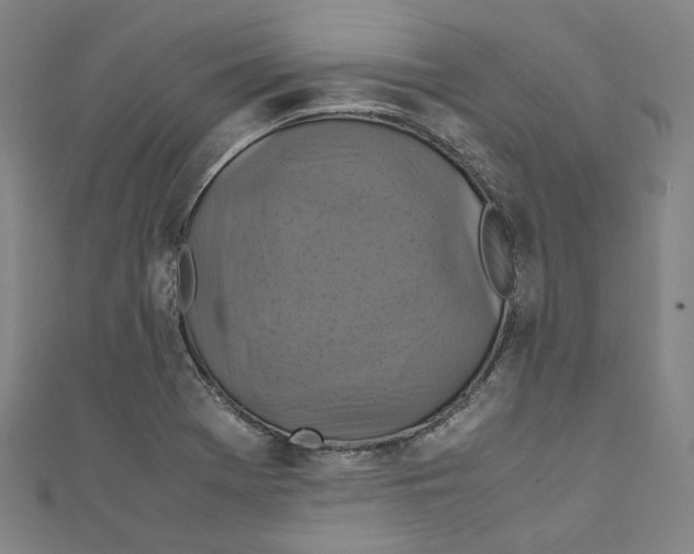 X0000111211369200907221142