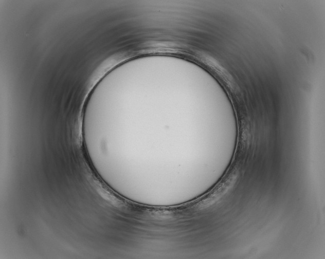 X0000111211370200907221142