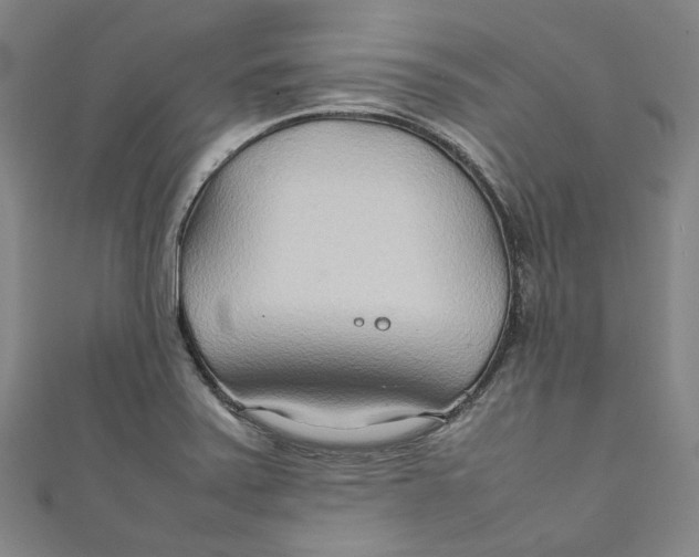 X0000111211371200907221142