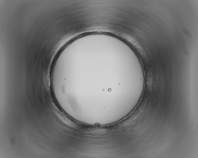 X0000111211372200907221142