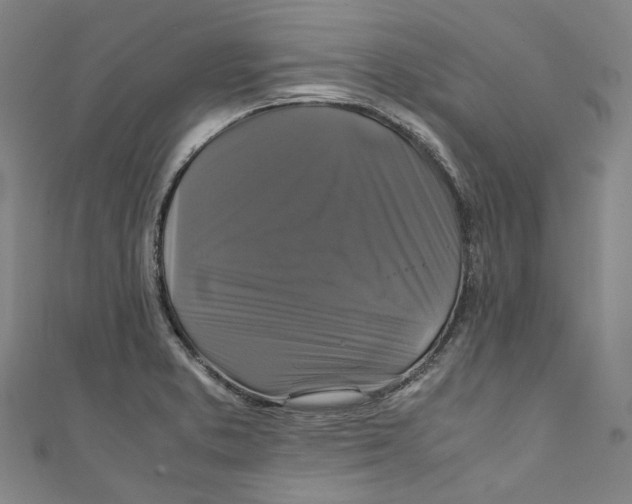 X0000111211373200907221142