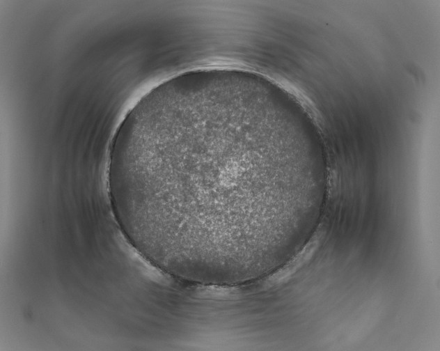 X0000111211374200907221142