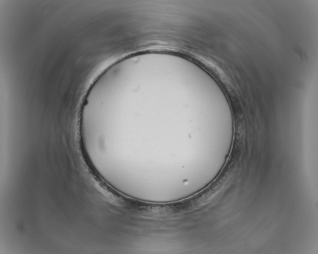 X0000111211375200907221142